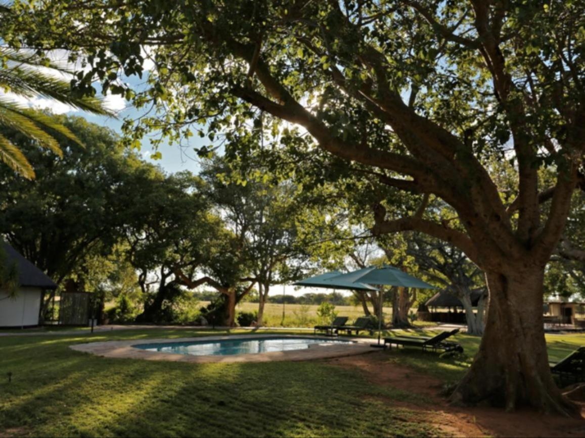La Rochelle Lodge Namibia Tsumeb Buitenkant foto